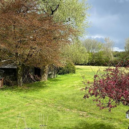 Horseford Lodge B&B South Molton Εξωτερικό φωτογραφία