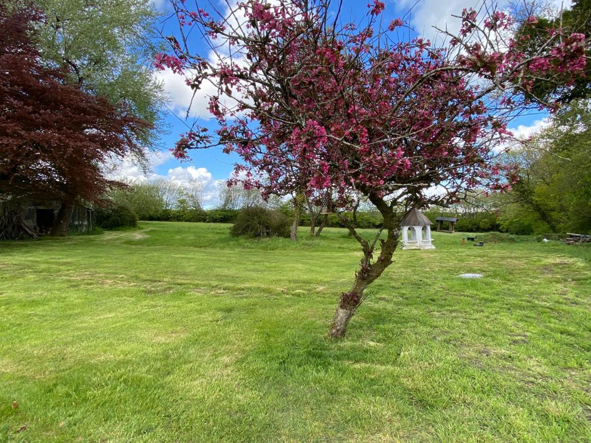 Horseford Lodge B&B South Molton Εξωτερικό φωτογραφία